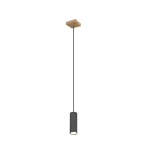 1. Visilica Globo Robby 57911HG drvo antracit