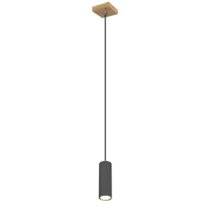 visilica globo Robby 57911HG metal grafit