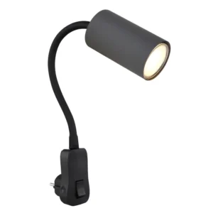 1. zidna lampa Globo Robby 57911DPG grafit