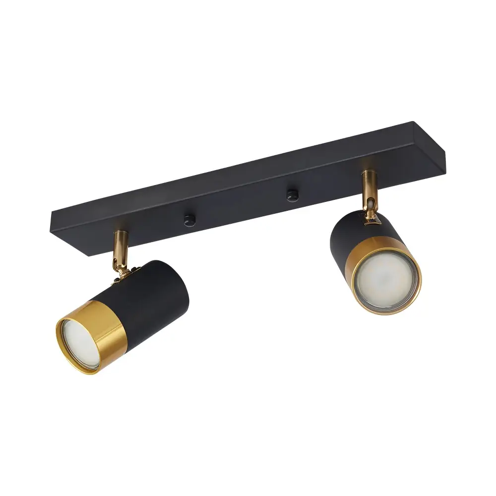 2. spot lampa Braytron BV04-00022 crna-zlatna