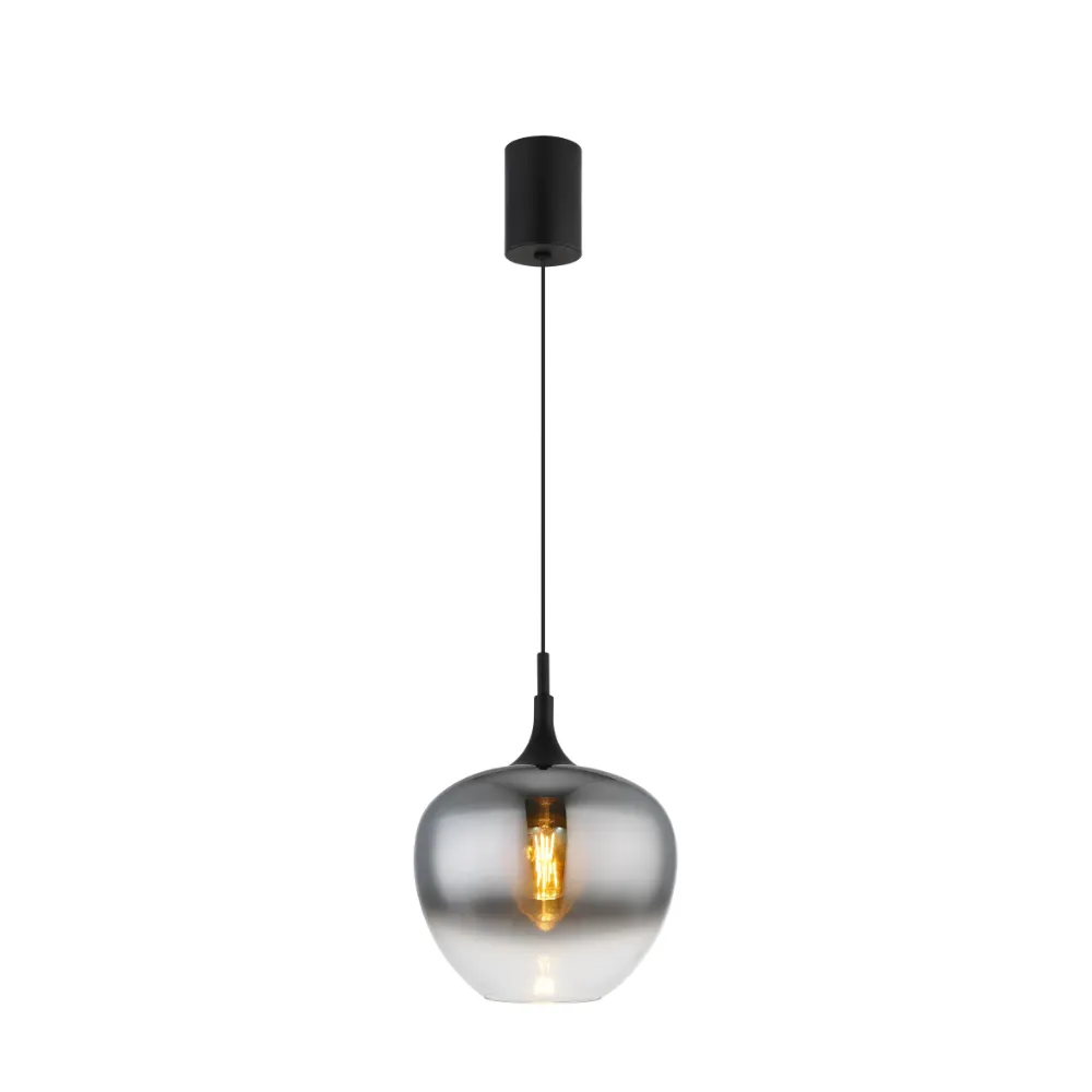 1. visilica Globo Maxy 15548H1L dimna