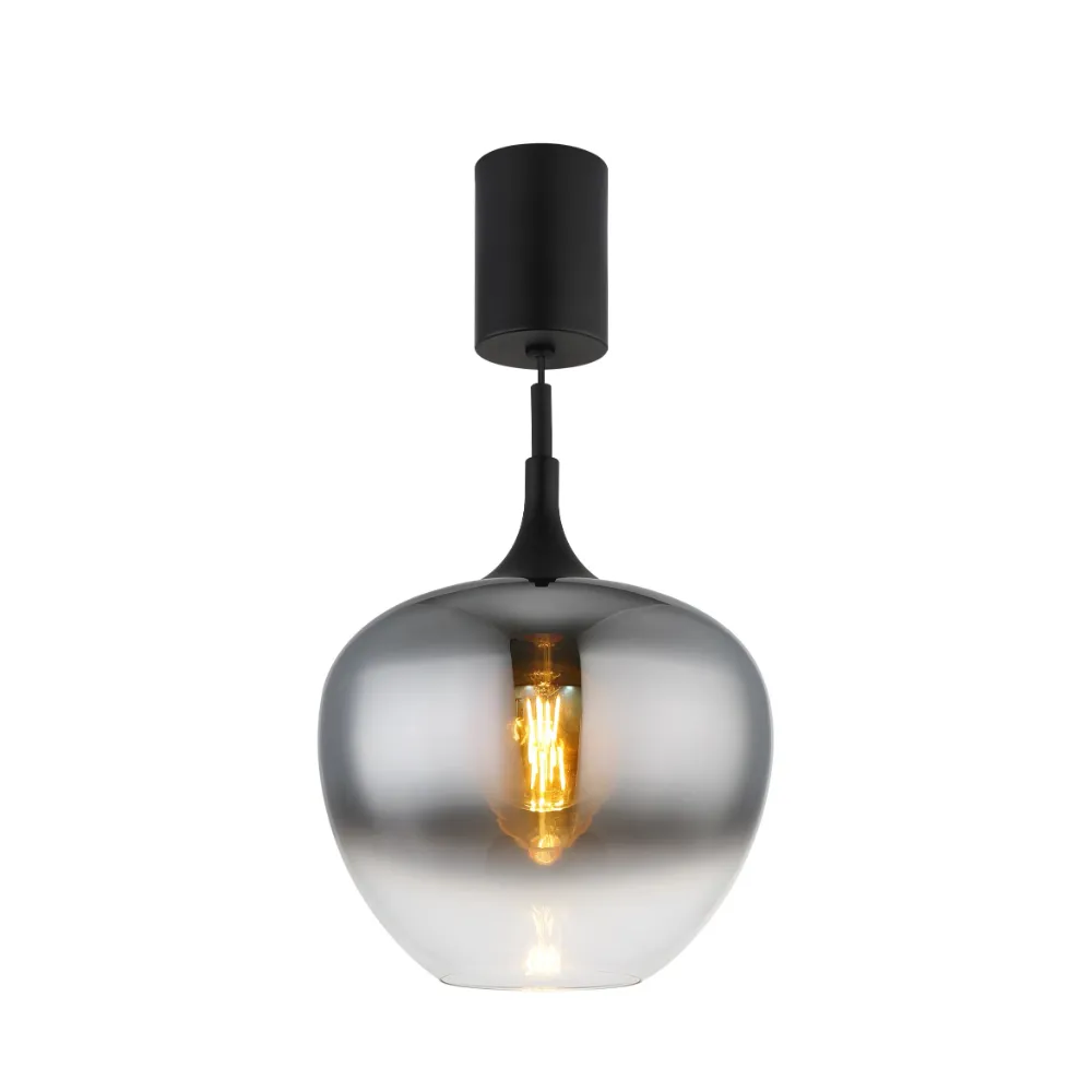 3. visilica Globo Maxy 15548H1L dimna